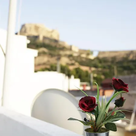 Stayalicante شقة